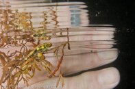 BHB-201307189919.jpg
