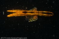 BHB-201307189944.jpg