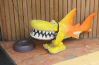 IMG_0299.jpg