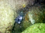 IMG_0486.jpg