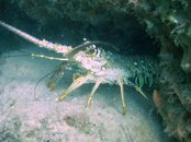 IMG_0512.jpg
