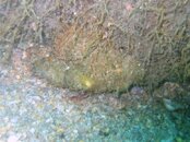 IMG_0537.jpg