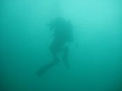 IMG_0545.jpg