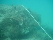 IMG_0522.jpg
