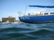IMG_0524.jpg