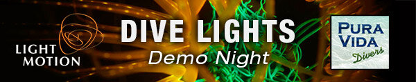 lm-demo-night.jpg
