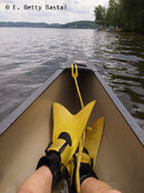 FFins_Canoe_7185589.jpg