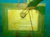 PICT0017.jpg