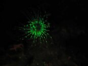IMG_0621.jpg