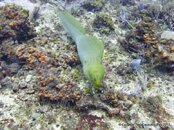 IMG_0876v1.jpg