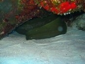 IMG_3461.jpg