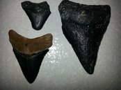20130729_183825.jpg