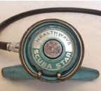 HEALTHWAYS SCUBA STAR.JPG1 (3).jpg