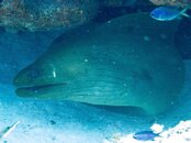 IMG_0781.jpg
