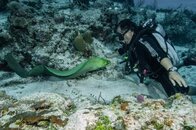 Adrian&MorayEel.jpg