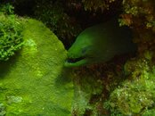 DSC07962.jpg