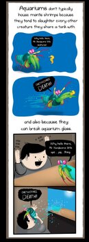 mantis_shrimp2_6.jpg