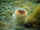 _7310891_edited-1.jpg