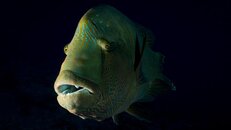 IMG_2309-Edit.jpg