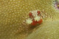 DSC01515.jpg