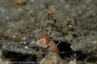 BHB-201308050645.jpg