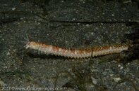BHB-201308050680.jpg