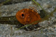 BHB-201308050669.jpg