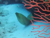 IMG_0227.jpg