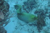 IMG_0216.jpg