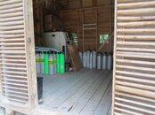 image-1263120130.jpg
