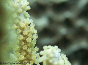 IMG_0657.jpg
