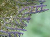 IMG_0686.jpg