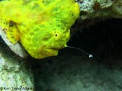 IMG_0708.jpg