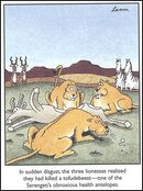 tofudebeest.JPG