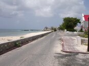 DSC08018.jpg