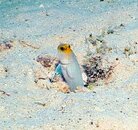 PICT0031 - Copy.jpg