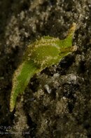 BHB-201308170812.jpg