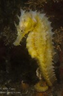 BHB-201308181244.jpg