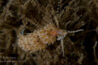 BHB-201308191485.jpg