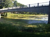 Lincoln Park - 1.jpg