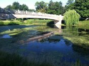 Lincoln Park - 2.jpg