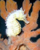 PICT0206.jpg
