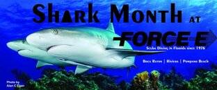 Shark Month at Force-E copy.jpg