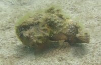 vlcsnap-2013-08-26-18h37m55s146.jpg