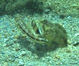 IMG_3737.jpg