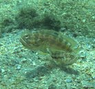 IMG_3738.jpg