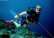 reefhook2_b.jpg