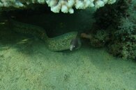 DSC00378.jpg