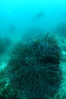 DSC00545.jpg