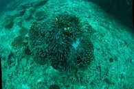 DSC00555.jpg